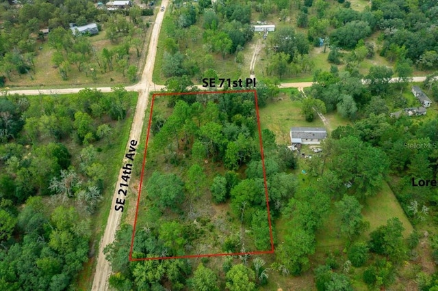 SE 71st Pl, Morriston, FL 32668 - photo 5