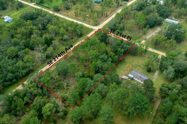 SE 71st Pl, Morriston, FL 32668 - photo 6