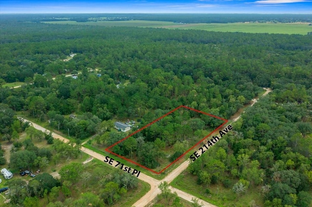 SE 71st Pl, Morriston, FL 32668 - photo 7