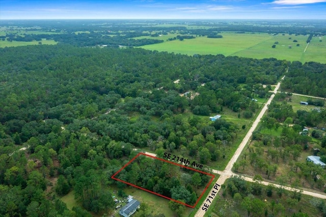SE 71st Pl, Morriston, FL 32668 - photo 8