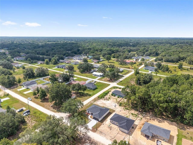 13462 SW 106th St, Dunnellon, FL 34432 - photo 9