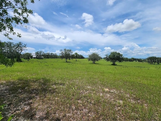 LOT14 SW Indian Hill Dr, Dunnellon, FL 34432 - photo 2