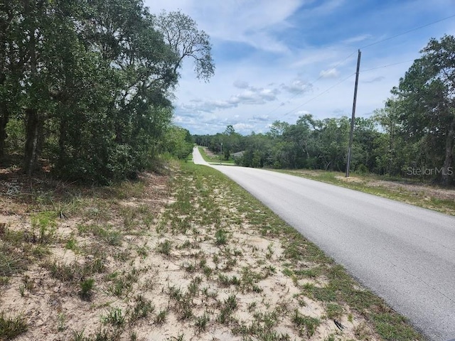 LOT14 SW Indian Hill Dr, Dunnellon, FL 34432 - photo 3