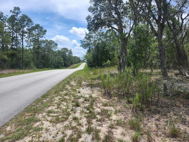 LOT14 SW Indian Hill Dr, Dunnellon, FL 34432 - photo 4