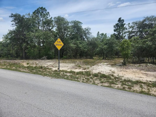 LOT14 SW Indian Hill Dr, Dunnellon, FL 34432 - photo 5