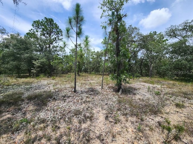 LOT14 SW Indian Hill Dr, Dunnellon, FL 34432 - photo 6