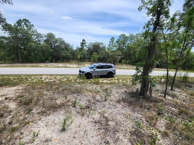 LOT14 SW Indian Hill Dr, Dunnellon, FL 34432 - photo 7