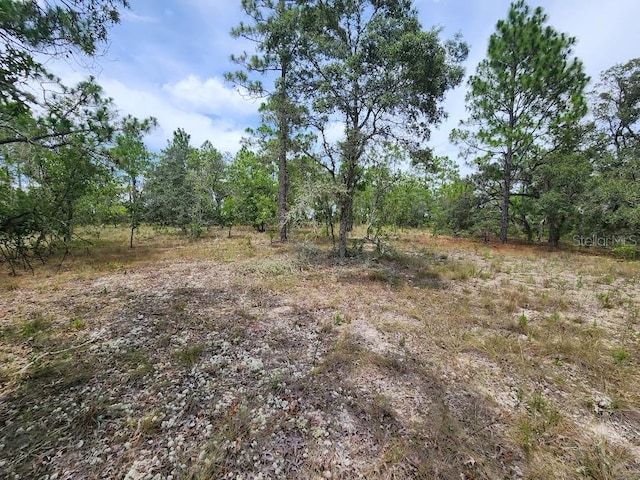LOT14 SW Indian Hill Dr, Dunnellon, FL 34432 - photo 8