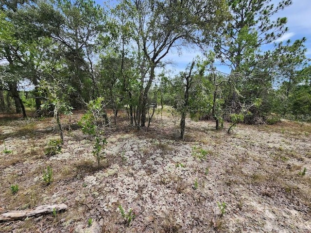 LOT14 SW Indian Hill Dr, Dunnellon, FL 34432 - photo 9