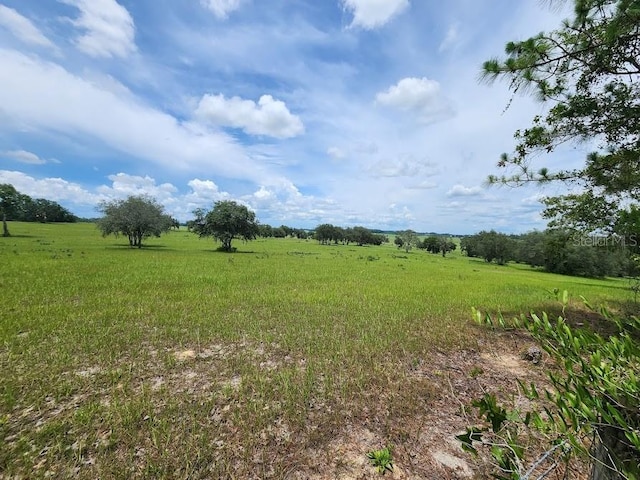 LOT14 SW Indian Hill Dr, Dunnellon, FL 34432 - photo 10