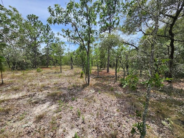 LOT14 SW Indian Hill Dr, Dunnellon, FL 34432 - photo 11
