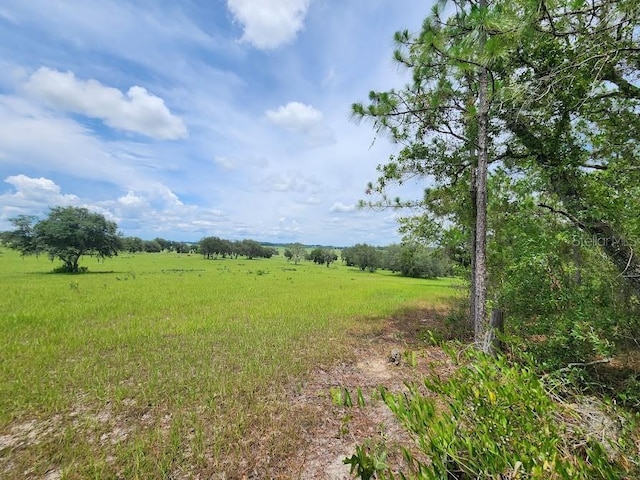 LOT14 SW Indian Hill Dr, Dunnellon, FL 34432 - photo 13