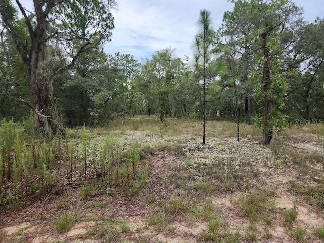 LOT14 SW Indian Hill Dr, Dunnellon, FL 34432 - photo 14