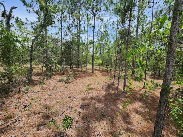 LOT14 SW Indian Hill Dr, Dunnellon, FL 34432 - photo 15