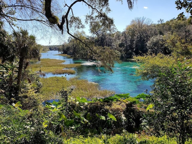 LOT14 SW Indian Hill Dr, Dunnellon, FL 34432 - photo 18