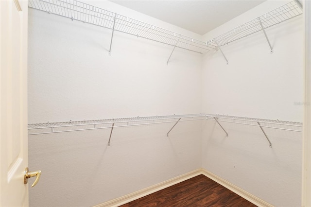 13883 SE 94th Ave, Summerfield, FL 34491 - photo 42