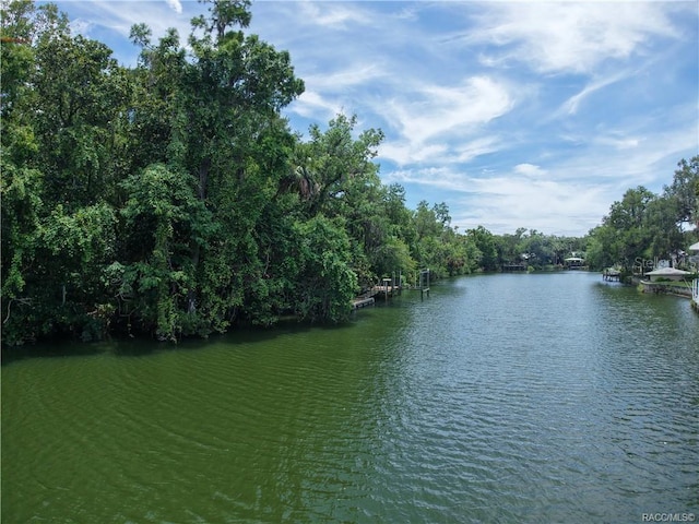 5217 Riverside Dr, Yankeetown, FL 34498 - photo 2