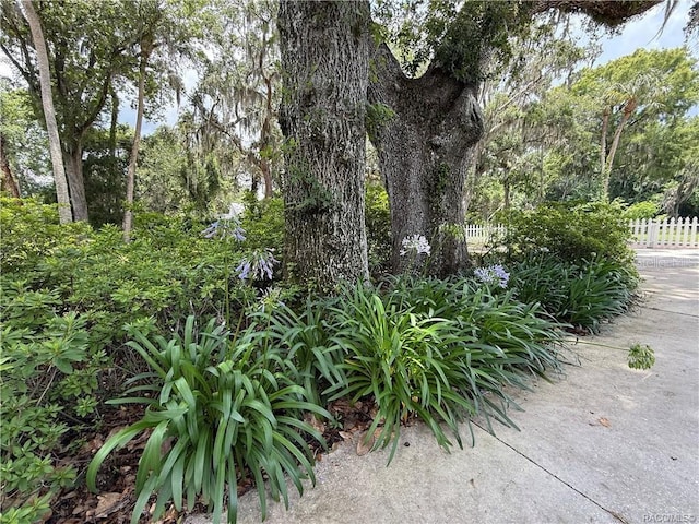 5217 Riverside Dr, Yankeetown, FL 34498 - photo 12