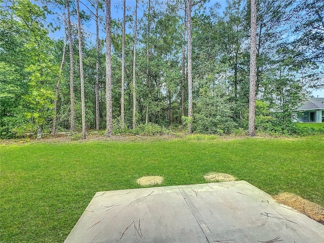 15635 SW 60th Cir, Ocala, FL 34473 - photo 26