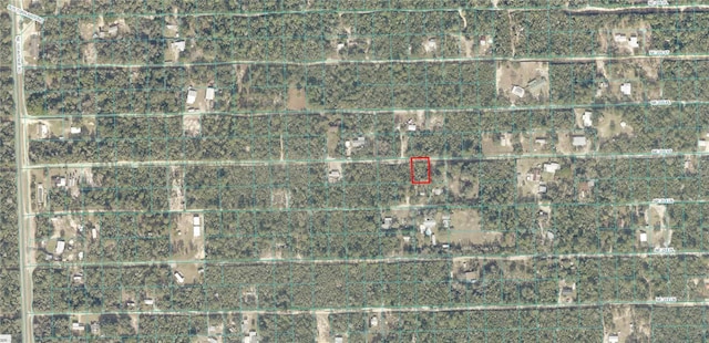 TBD NE 235th St, Fort Mc Coy, FL 32134 - photo 1