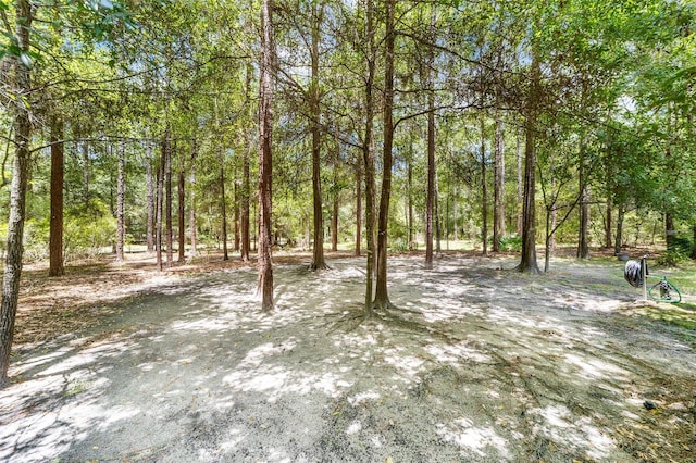 21655 SW 89th St, Dunnellon, FL 34431 - photo 55