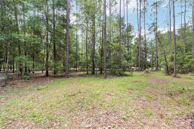 21655 SW 89th St, Dunnellon, FL 34431 - photo 59