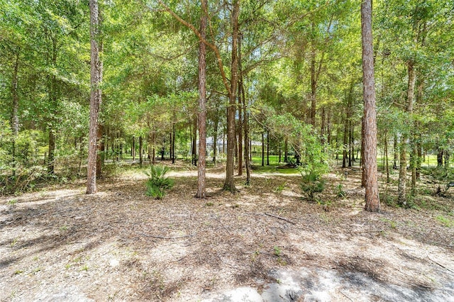 21655 SW 89th St, Dunnellon, FL 34431 - photo 60