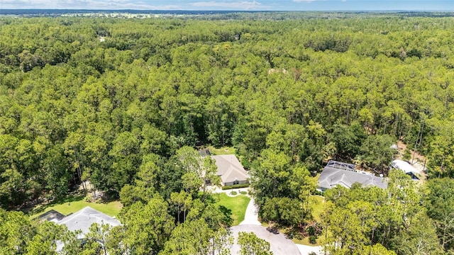 21655 SW 89th St, Dunnellon, FL 34431 - photo 67