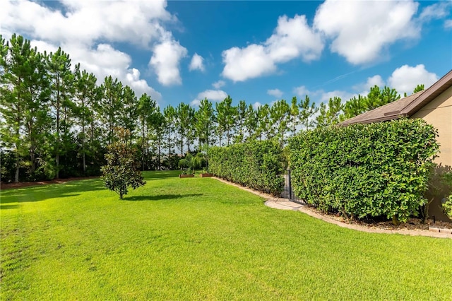 9277 SW 70th Loop, Ocala, FL 34481 - photo 46