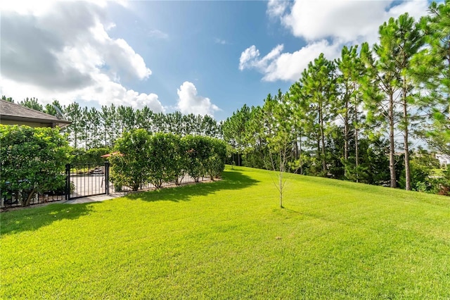 9277 SW 70th Loop, Ocala, FL 34481 - photo 47