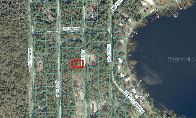 NE 111th Ct, Fort Mc Coy, FL 32134 - photo 1