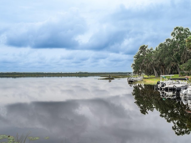 25325 140th St NE, Fort Mc Coy, FL 32134 - photo 6