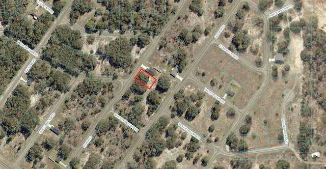 TBD Guava Ln, Ocklawaha, FL 32179 - photo 1
