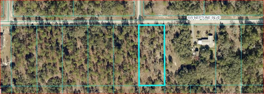 SW Neptune Blvd, Dunnellon, FL 34431 - photo 1