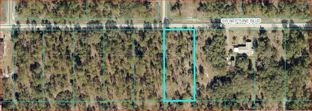 SW Neptune Blvd, Dunnellon, FL 34431 - photo 1