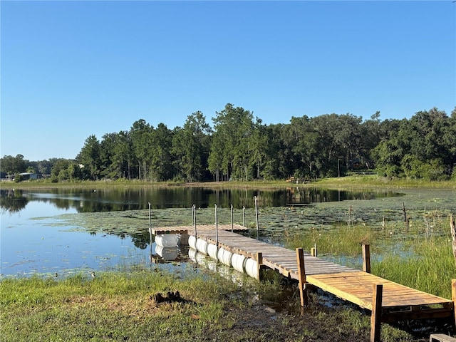 621 NE 165th Ter, Silver Springs, FL 34488 - photo 56