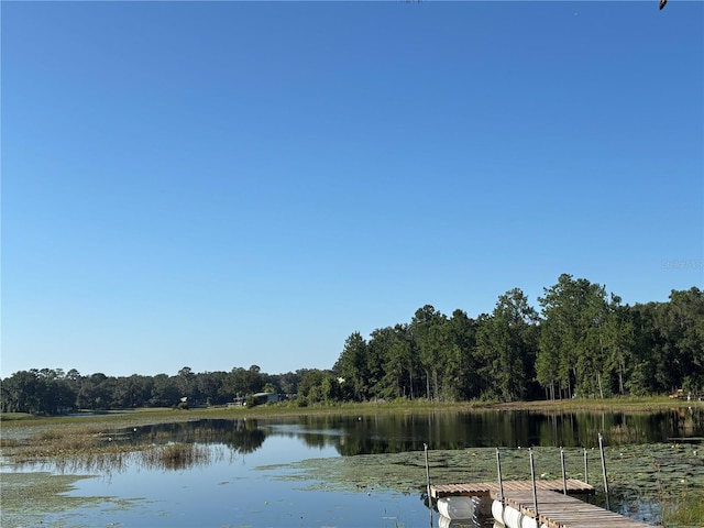621 NE 165th Ter, Silver Springs, FL 34488 - photo 57