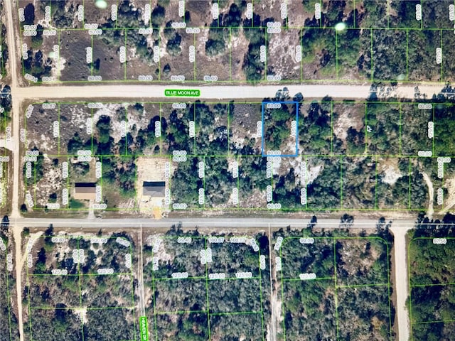 329 Blue Moon Ave, Lake Placid, FL 33852 - photo 1
