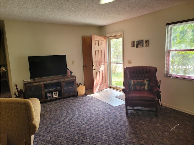 14105 SE 53rd Ave, Summerfield, FL 34491 - photo 14