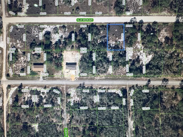 325 Blue Moon Ave, Lake Placid, FL 33852 - photo 1