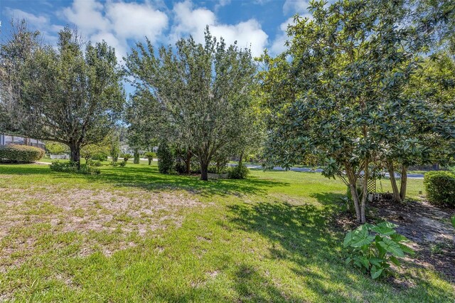 19686 SW 88th Loop, Dunnellon, FL 34432 - photo 38