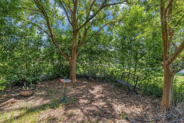19686 SW 88th Loop, Dunnellon, FL 34432 - photo 39
