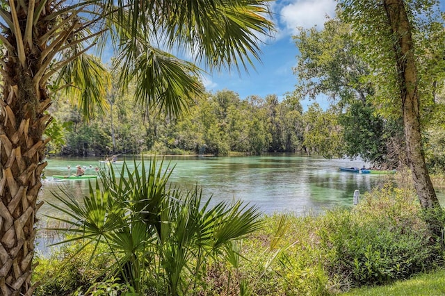 19686 SW 88th Loop, Dunnellon, FL 34432 - photo 44