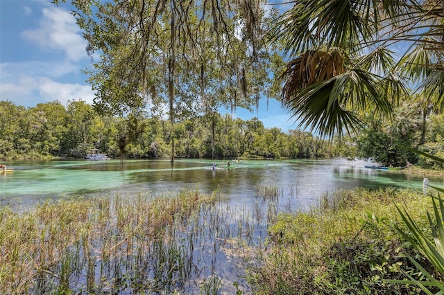 19686 SW 88th Loop, Dunnellon, FL 34432 - photo 45