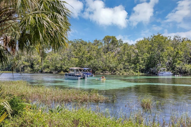 19686 SW 88th Loop, Dunnellon, FL 34432 - photo 46