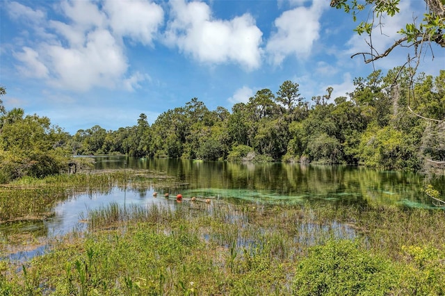 19686 SW 88th Loop, Dunnellon, FL 34432 - photo 47