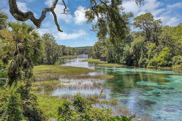 19686 SW 88th Loop, Dunnellon, FL 34432 - photo 48