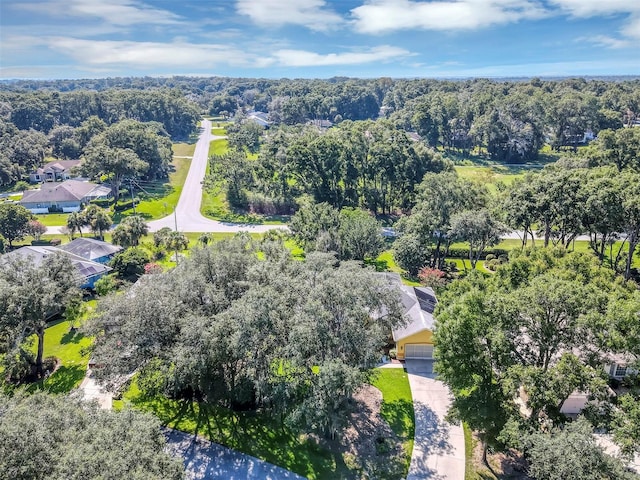 19686 SW 88th Loop, Dunnellon, FL 34432 - photo 51
