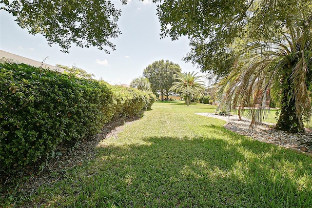 9428 SE 124th Loop, Summerfield, FL 34491 - photo 49