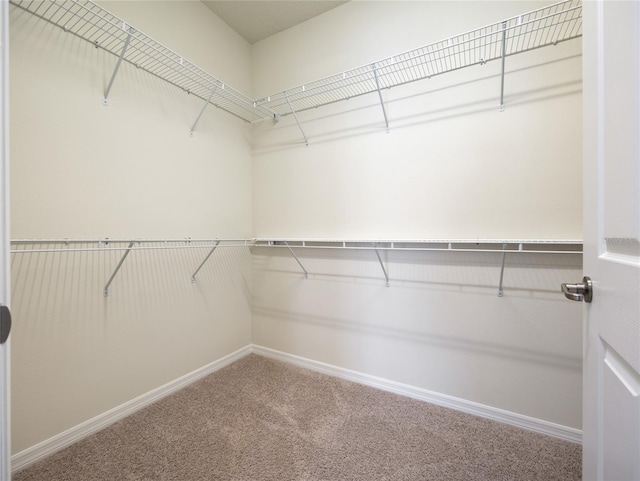 9794 SW 63rd Loop, Ocala, FL 34481 - photo 25